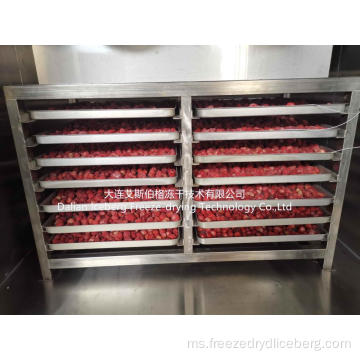 Mesin pengeringan beku buah strawberi